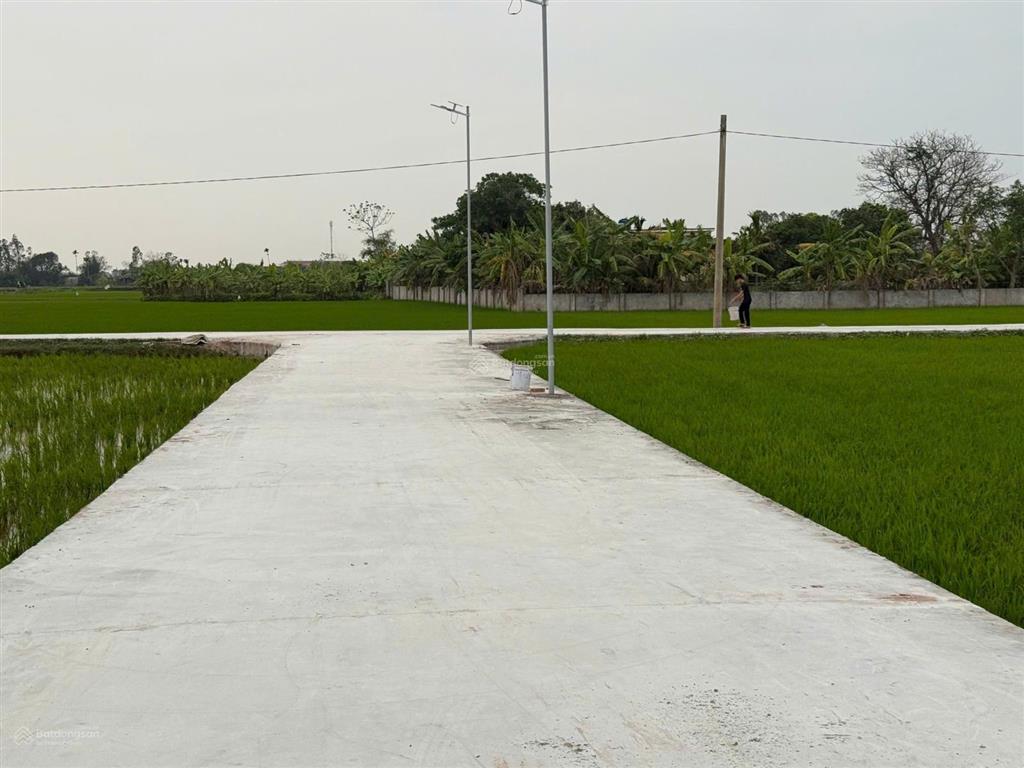Bất động sản tại Thái Bình - ảnh 1