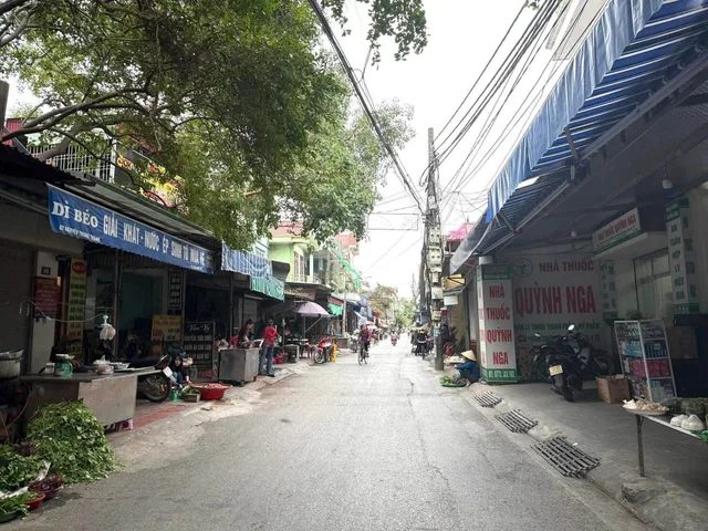 Bất động sản tại Hải Phòng - ảnh 1
