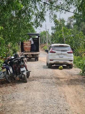 Bất động sản tại Tiền Giang - ảnh 1
