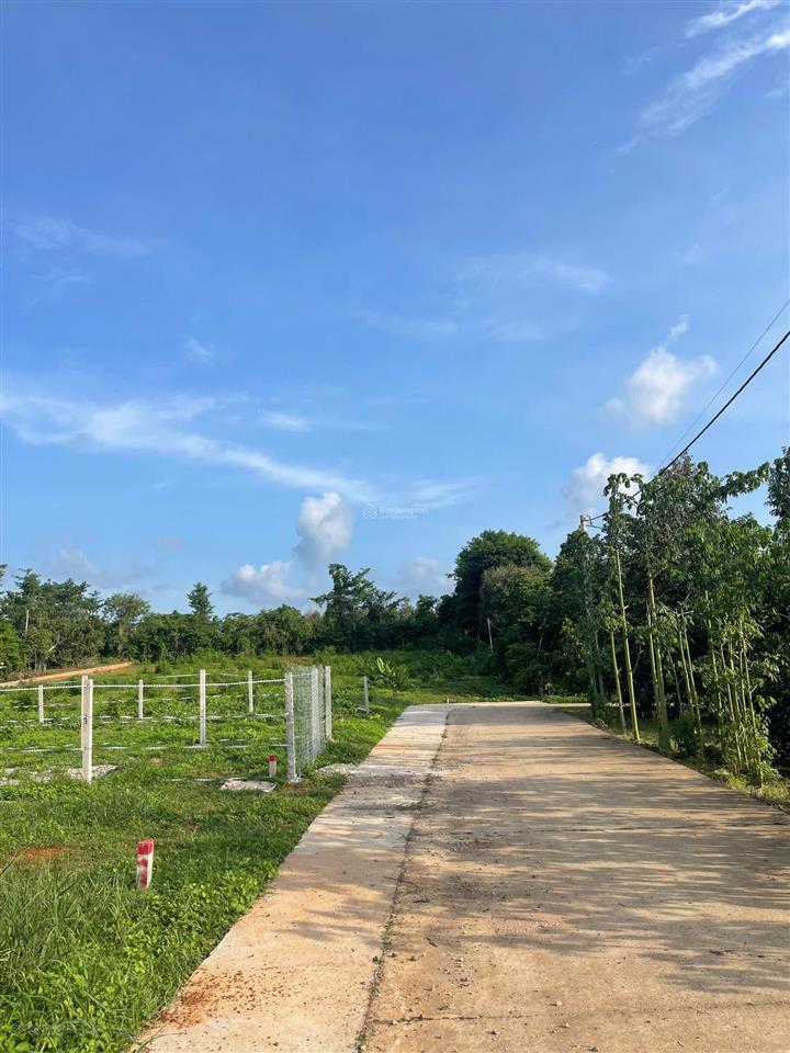 Bất động sản tại Bà Rịa - Vũng Tàu - ảnh 1