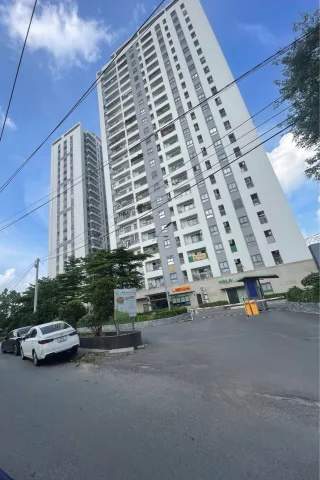 Bất động sản tại Bình Dương - ảnh 1