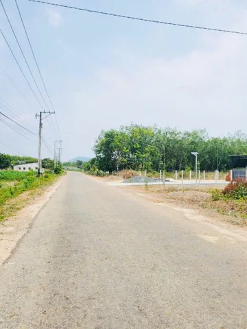 Bất động sản tại Đồng Nai - ảnh 1
