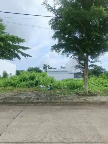 Bất động sản tại Cà Mau - ảnh 1