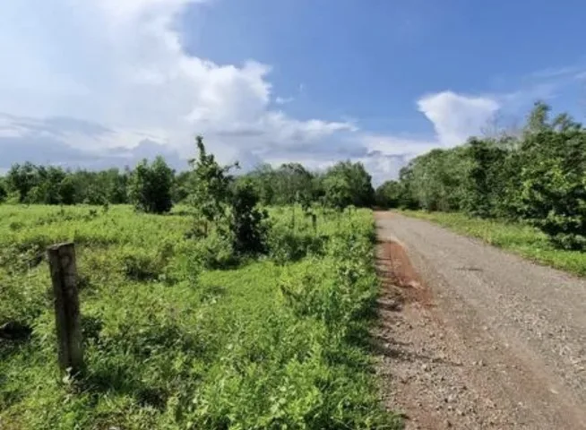 Bất động sản tại Bình Thuận - ảnh 1