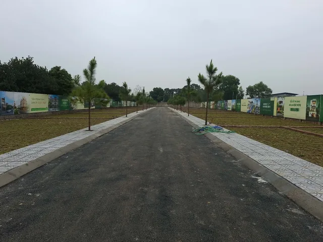 Bất động sản tại Phú Thọ - ảnh 1
