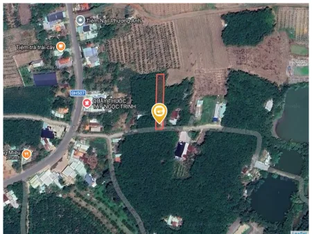 Bất động sản tại Bình Dương - ảnh 1