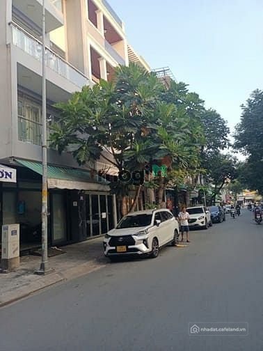 Bất động sản tại TP. Hồ Chí Minh - ảnh 1