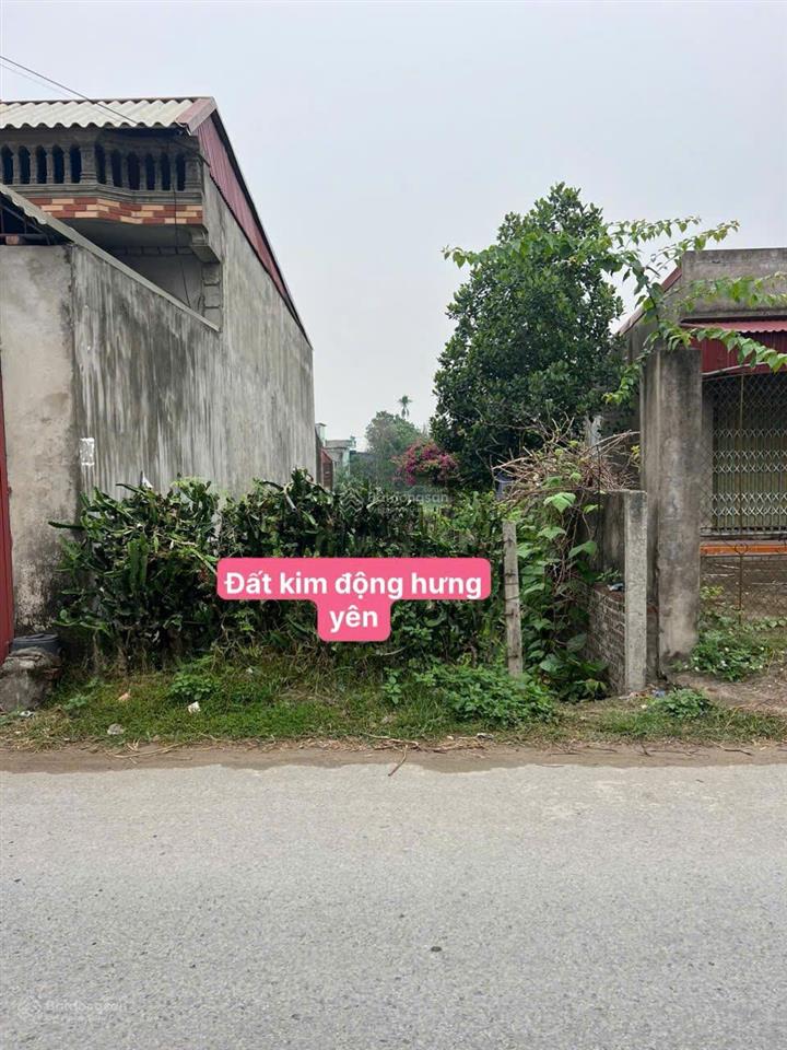 Bất động sản tại Hưng Yên - ảnh 1