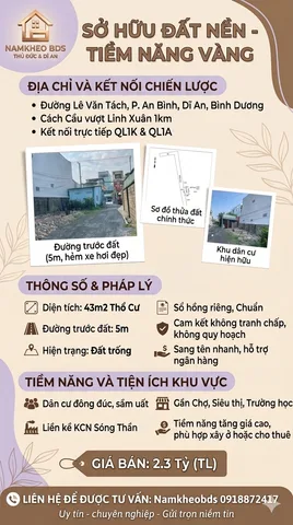 Bất động sản tại Bình Dương - ảnh 1