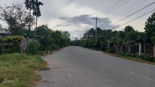 Bất động sản tại Bà Rịa - Vũng Tàu - ảnh 1