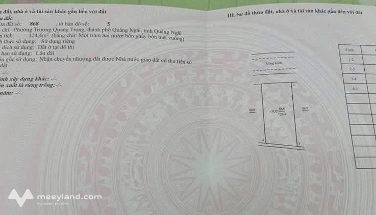 Bất động sản tại Quảng Ngãi - ảnh 1