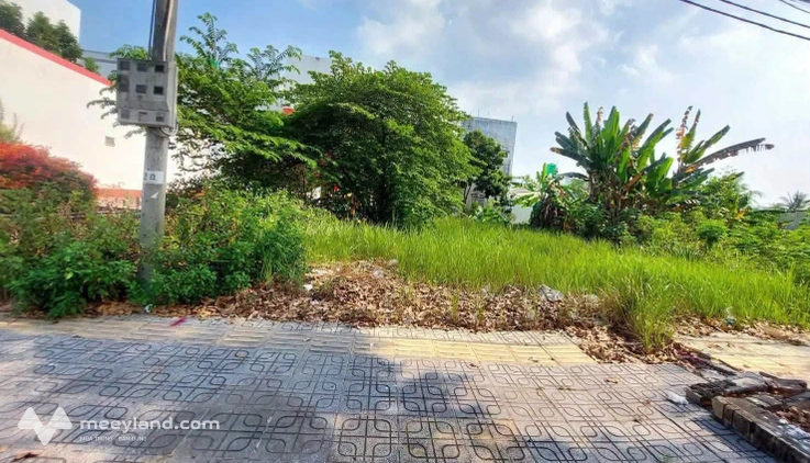 Bất động sản tại Bến Tre - ảnh 1