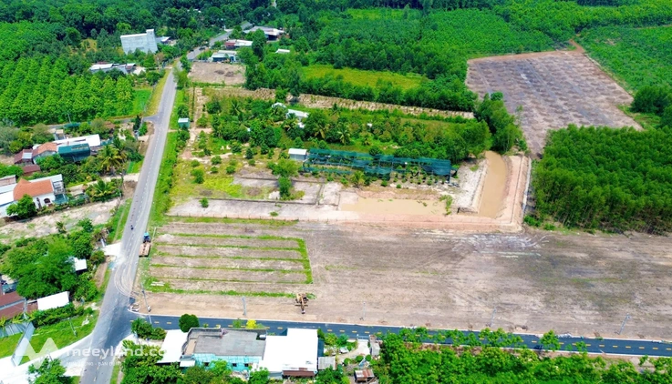 Bất động sản tại Bình Dương - ảnh 1