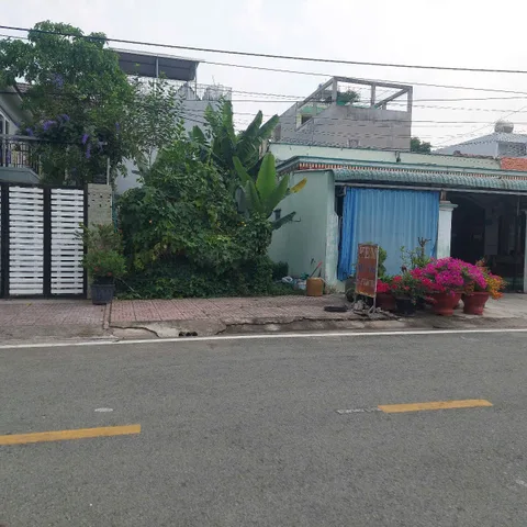 Bất động sản tại Bình Dương - ảnh 1