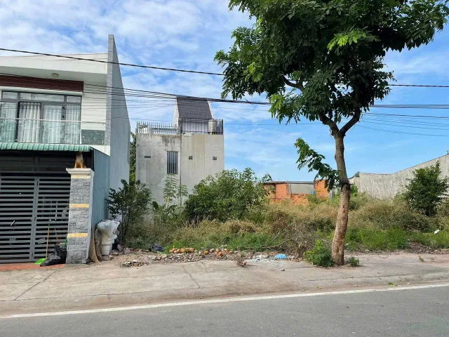 Bất động sản tại Bình Dương - ảnh 1