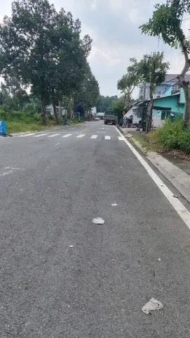 Bất động sản tại Bình Dương - ảnh 1