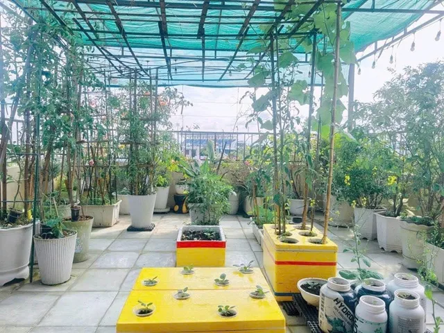 Bất động sản tại Đà Nẵng - ảnh 1