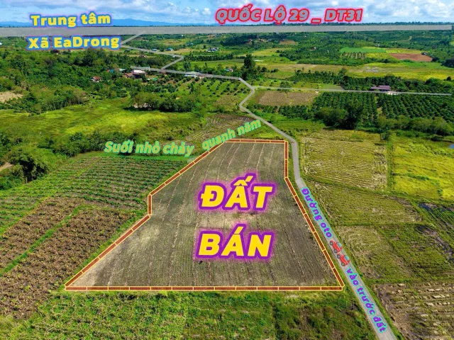 Bất động sản tại Tây Ninh - ảnh 1