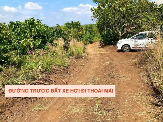 Bất động sản tại Đắk Lắk - ảnh 1