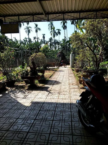 Bất động sản tại Quảng Ngãi - ảnh 1