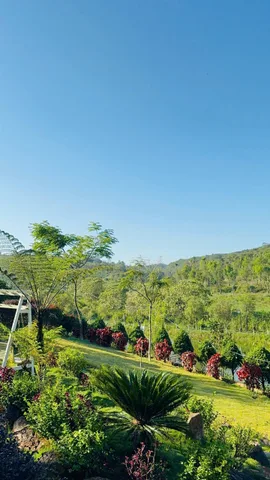 Bất động sản tại Lâm Đồng - ảnh 1