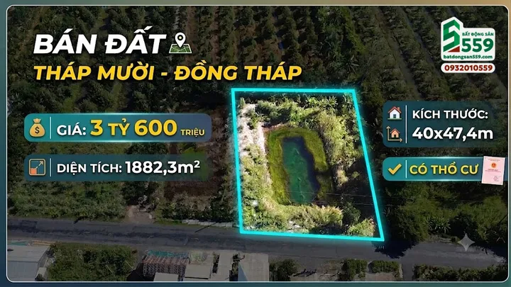 Bất động sản tại Đồng Tháp - ảnh 1