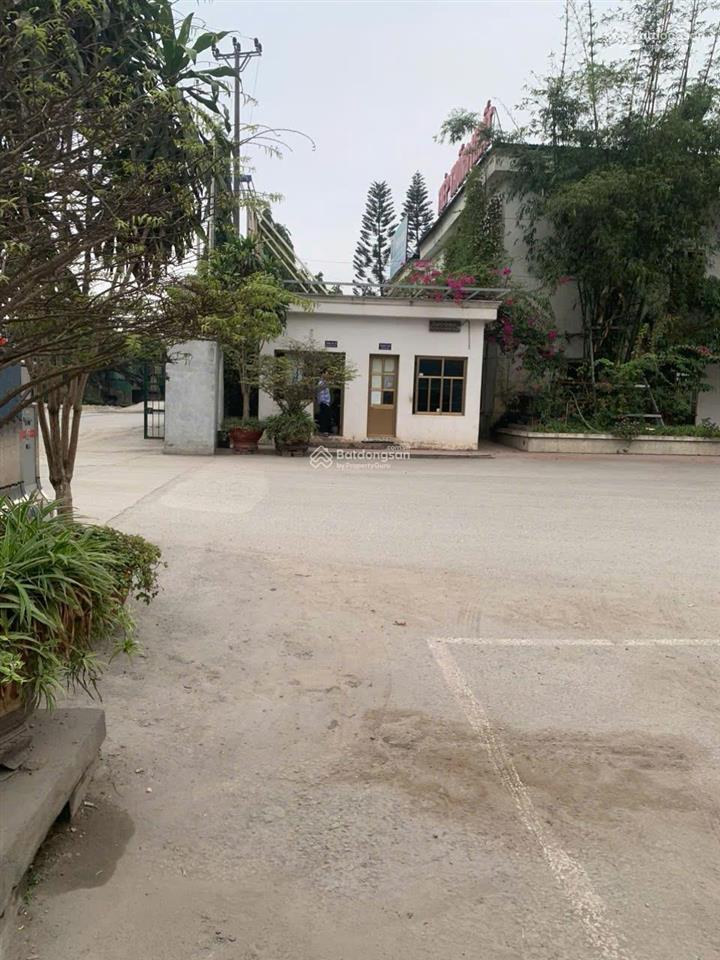 Bất động sản tại Hải Phòng - ảnh 1