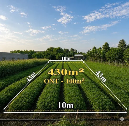 Bất động sản tại Bà Rịa - Vũng Tàu - ảnh 1