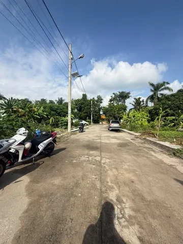 Bất động sản tại Bình Dương - ảnh 1