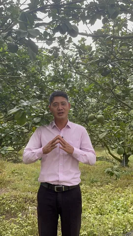 Bất động sản tại Bình Dương - ảnh 1