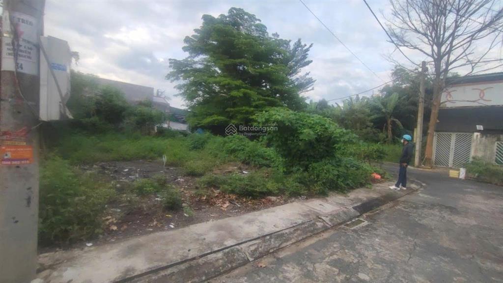 Bất động sản tại Long An - ảnh 1