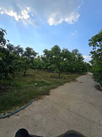 Bất động sản tại Đồng Nai - ảnh 1