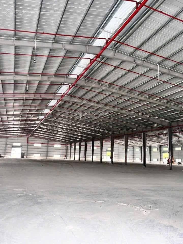 Bất động sản tại Bình Định - ảnh 1