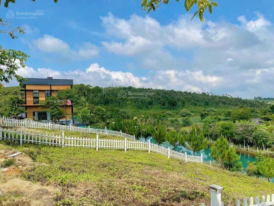 Bất động sản tại Lâm Đồng - ảnh 1