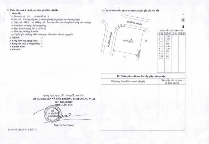 Bất động sản tại Quảng Ngãi - ảnh 1
