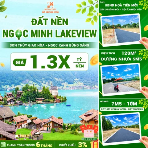 Bất động sản tại Đà Nẵng - ảnh 1