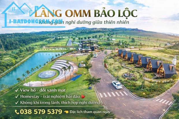 Bất động sản tại Lâm Đồng - ảnh 1