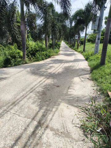 Bất động sản tại Long An - ảnh 1