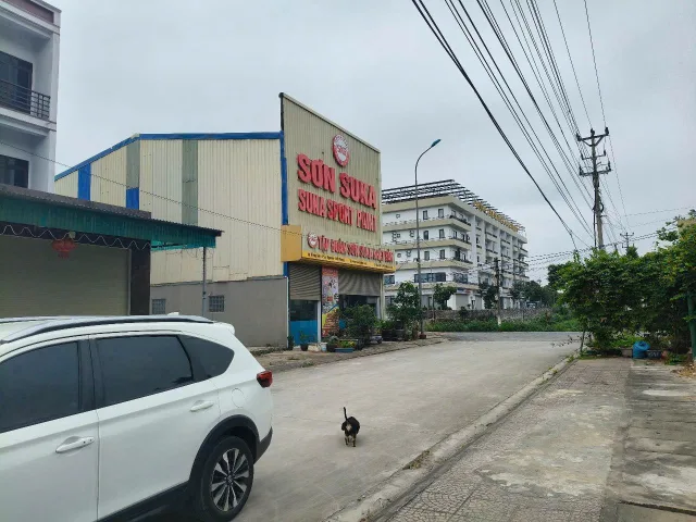 Bất động sản tại Hải Phòng - ảnh 1