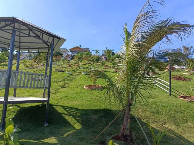 Bất động sản tại Lâm Đồng - ảnh 1