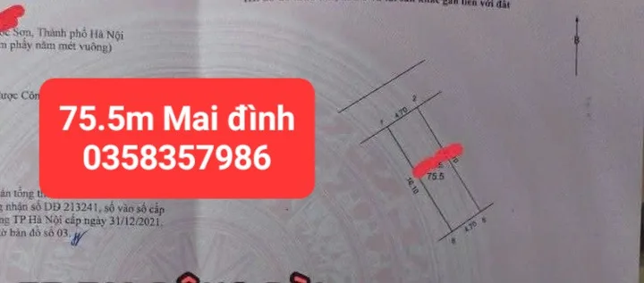 Bất động sản tại Hà Nội - ảnh 1