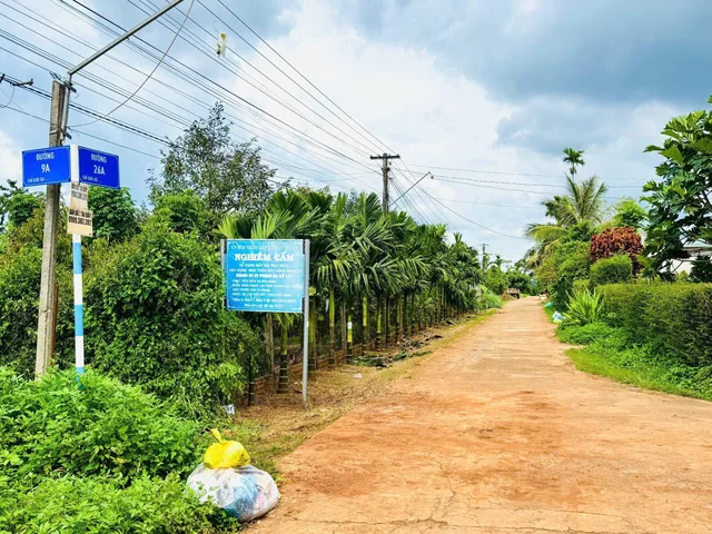 Bất động sản tại Đắk Lắk - ảnh 1
