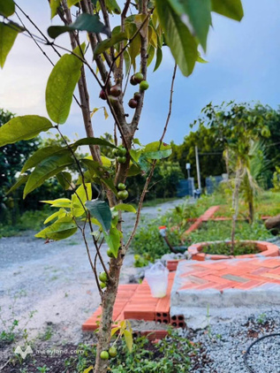 Bất động sản tại Bà Rịa - Vũng Tàu - ảnh 1