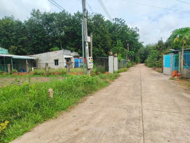 Bất động sản tại Bình Dương - ảnh 1