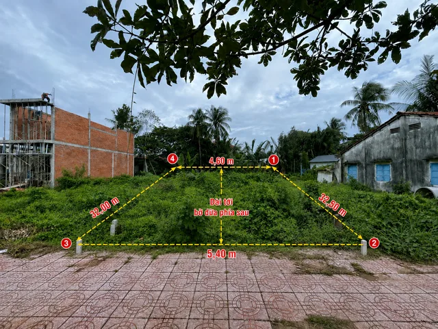 Bất động sản tại Long An - ảnh 1