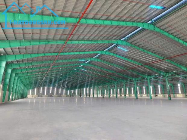 Bất động sản tại Long An - ảnh 1