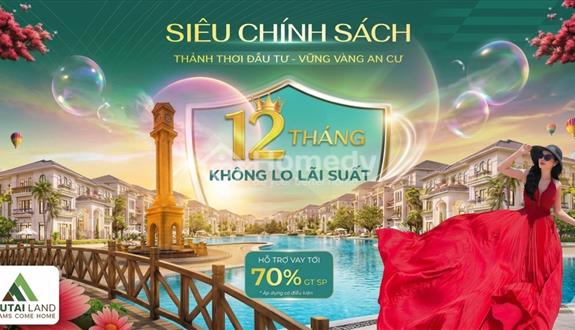 Bất động sản tại Bình Định - ảnh 1