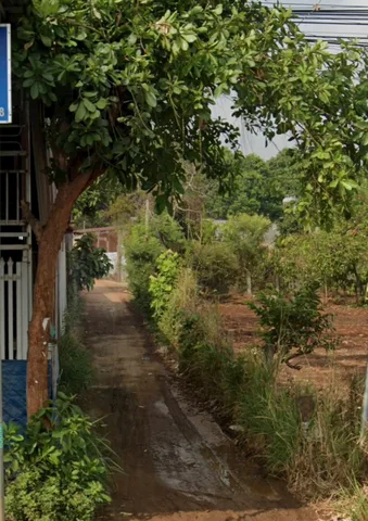 Bất động sản tại Đắk Lắk - ảnh 1