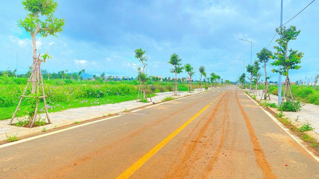 Bất động sản tại Lâm Đồng - ảnh 1