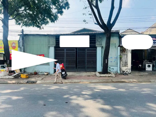Bất động sản tại Bình Dương - ảnh 1